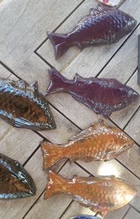 Fische Keramik glasiert je 8x14cm